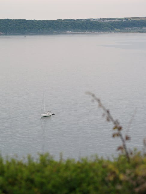 A small white sailboat with a single mast is anchored on a calm body of water, viewed from a grassy shoreline with a few out-of-focus plants in the foreground. The water surface is smooth with slight ripples, and the distant shoreline features gentle hills covered in greenery under an overcast sky. This scene is unrelated to house removals or moving services, and there are no furniture, boxes, appliances, or moving equipment visible. Therefore, the image does not support content about relocation or packing processes, but it could be used as a visual break or background in a webpage discussing delays in same-day removals in Southgate, as referenced by the page title and URL for Man and Van Southgate.